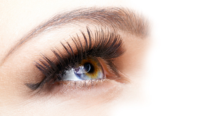 lash and brow treatments